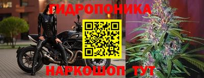 mix Новокубанск