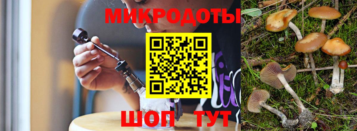 Галлюциногенные грибы Cubensis Сургут