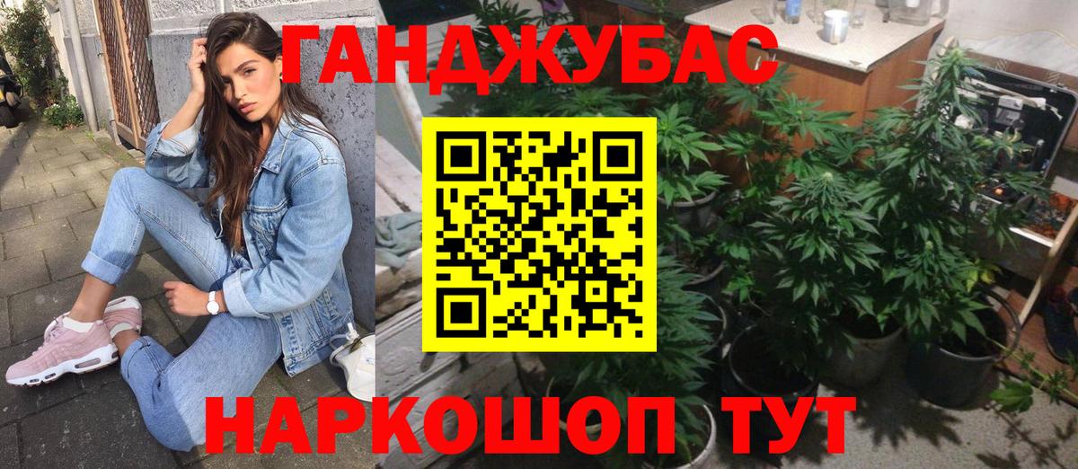 Бошки Шишки планчик Сургут